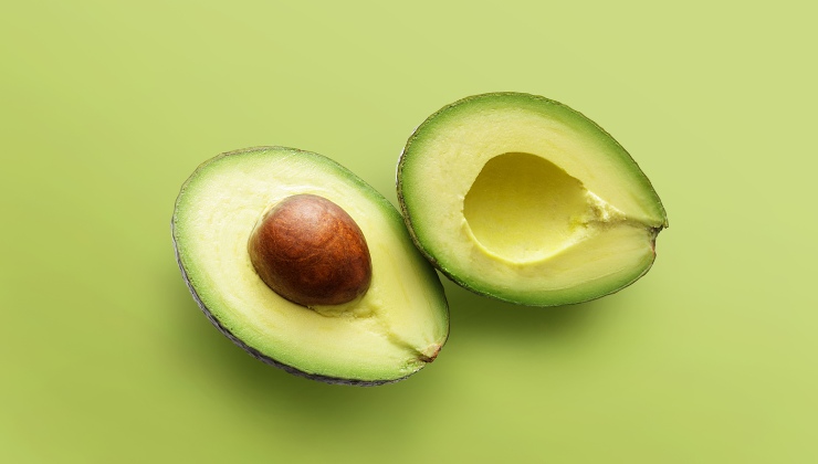 come piantare un avocado in casa